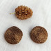 buttons
