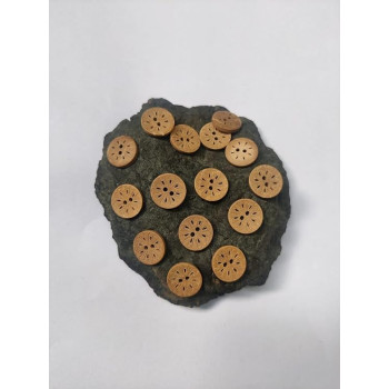 Flower Wooden Color Coconut Shell 2 Holes Round Flower Shape Buttons for Sewing, Craft and Embroidery (50 Pieces, 2CM, 20 mm) Flower Wooden Color Coconut Shell 2 Holes Round Flower Shape Buttons for Sewing, Craft and Embroidery (50 Pieces, 2CM, 20 mm)