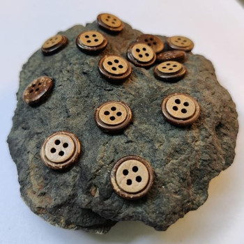 Natural Coconut Shell Ring Designed Small Wooden 4 Holed Buttons for Designer Collection of Ethnic Ware, Sewing, DIY Art and Craft Pack of 50 Natural Coconut Shell Ring Designed Small Wooden 4 Holed Buttons for Designer Collection of Ethnic Ware, Sewing, DIY Art and Craft Pack of 50