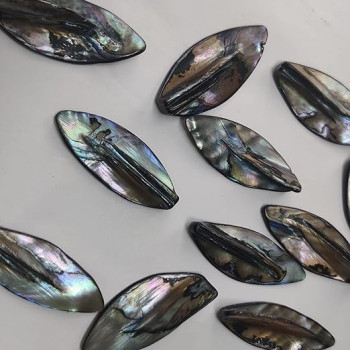 Leaf Rainbow Shine Mother of Pearl top drilled breads Button for Fashion Designing for Shirts,Pants,Jackets,Kurtis and Also Used for DIY Crafts (Grey Color Pack of 10 ,Size- 4.80cm ) Leaf Rainbow Shine Mother of Pearl top drilled breads Button for Fashion Designing for Shirts,Pants,Jackets,Kurtis and Also Used for DIY Crafts (Grey Color Pack of 10 ,Size- 4.80cm )
