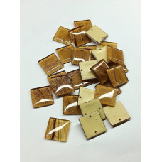 Acrylic 2 Hole Polished Buttons 